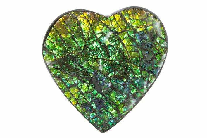 Flashy Ammolite (Fossil Ammonite Shell) Heart - Greens & Yellows #378470